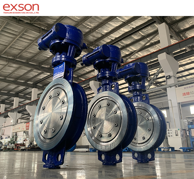 Wafer eccentric butterfly valve